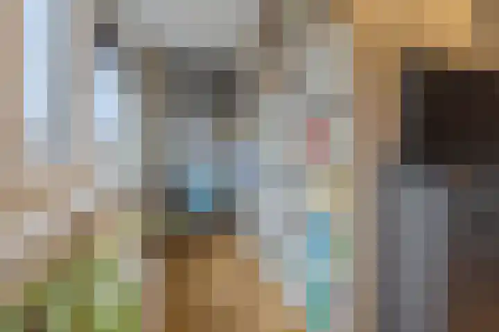 Robijn 8 's-Gravenzande thumbnail 15