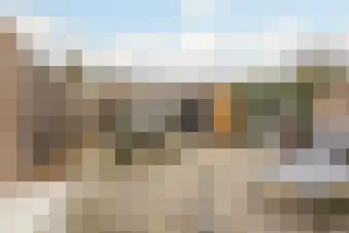 Robijn 8 's-Gravenzande thumbnail 31