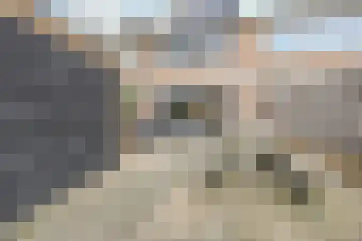 Robijn 8 's-Gravenzande thumbnail 33