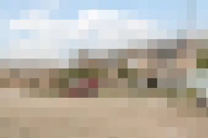 Robijn 8 's-Gravenzande thumbnail 35