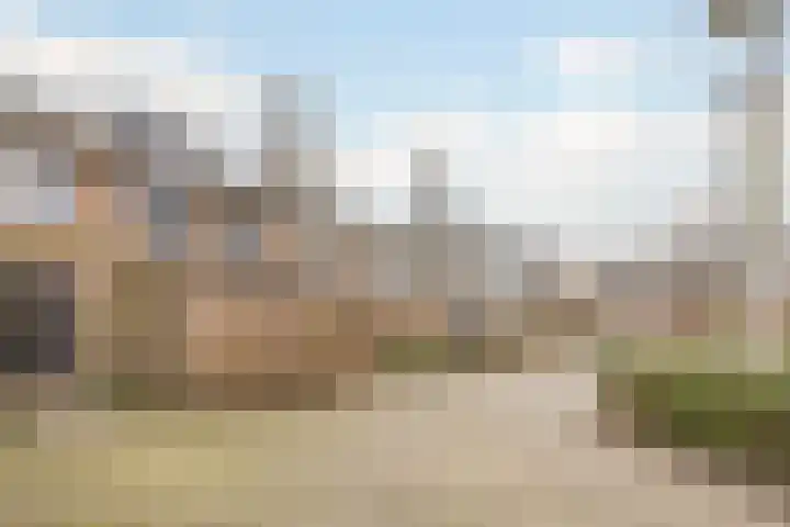 Robijn 8 's-Gravenzande thumbnail 36