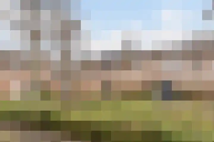 Robijn 8 's-Gravenzande thumbnail 37