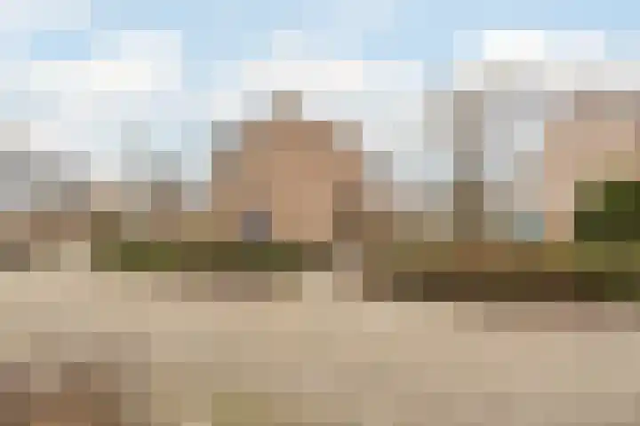 Robijn 8 's-Gravenzande thumbnail 38