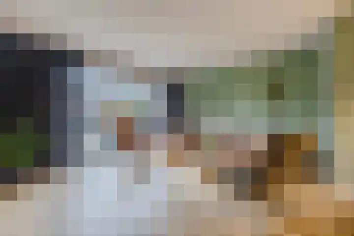 Robijn 8 's-Gravenzande thumbnail 6