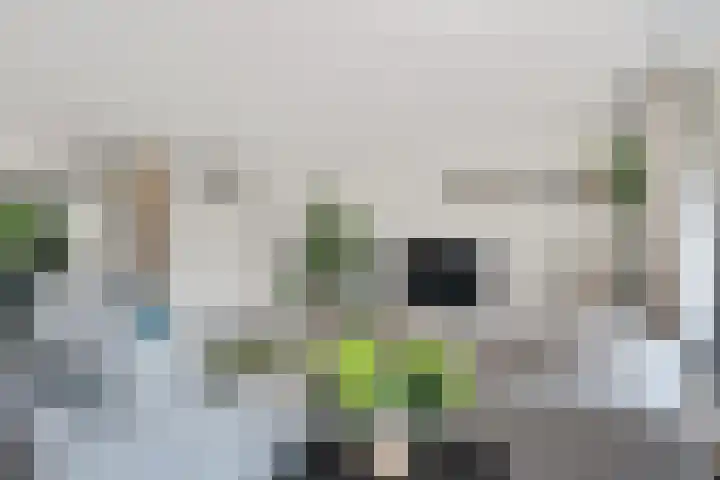 Robijndreef 7 Emmen thumbnail 16