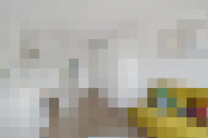 Robijndreef 7 Emmen thumbnail 28