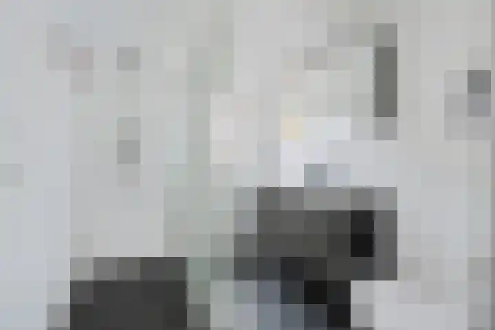 Robijndreef 7 Emmen thumbnail 31
