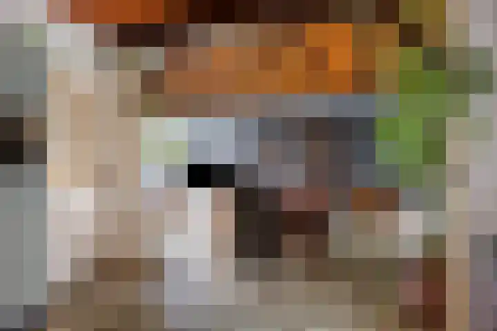 Robijnlaan 72 Cuijk thumbnail 17