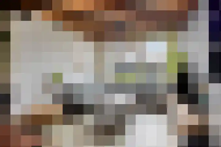 Robijnlaan 72 Cuijk thumbnail 18