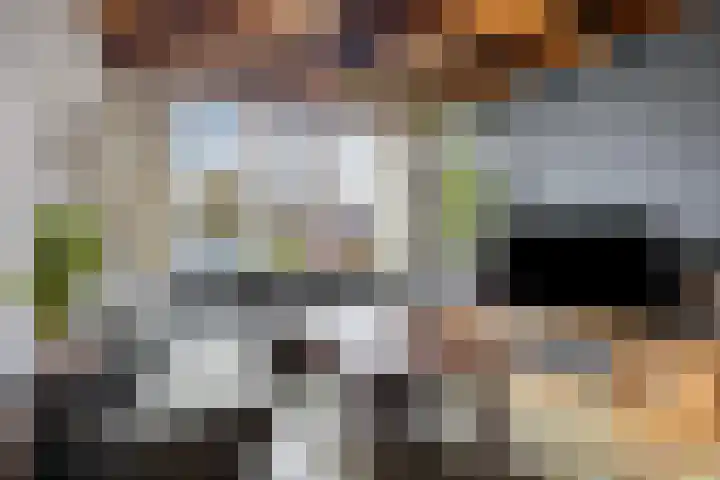 Robijnlaan 72 Cuijk thumbnail 19
