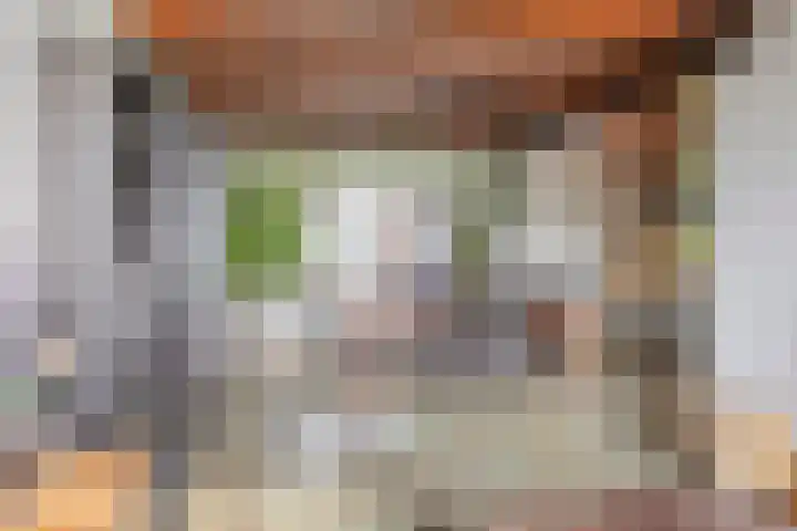 Robijnlaan 72 Cuijk thumbnail 20