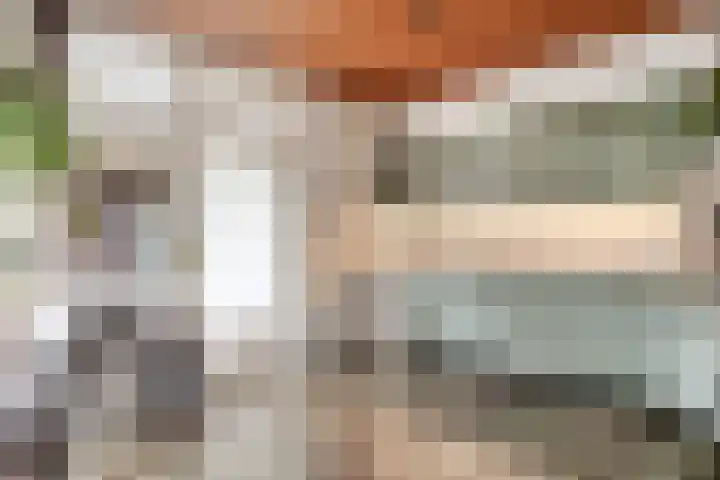 Robijnlaan 72 Cuijk thumbnail 24