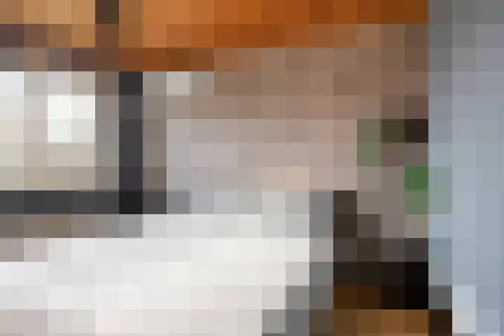 Robijnlaan 72 Cuijk thumbnail 32