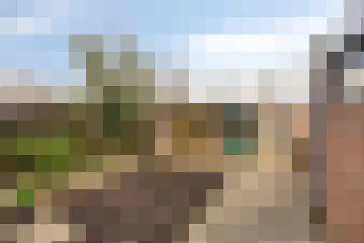 Robijnlaan 72 Cuijk thumbnail 4