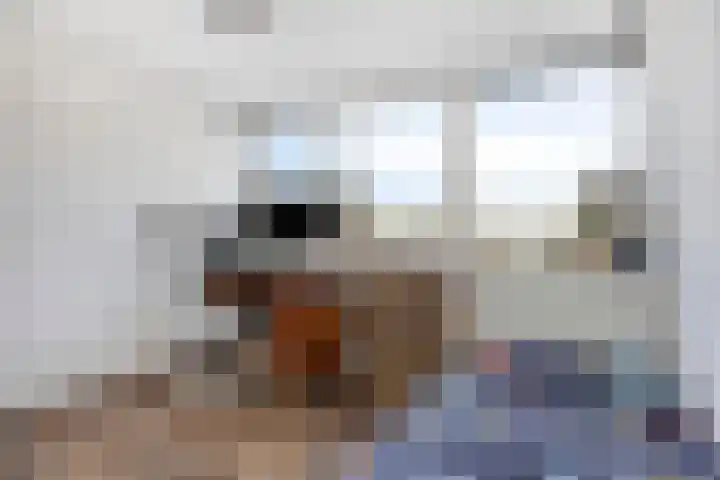 Robijnlaan 72 Cuijk thumbnail 40