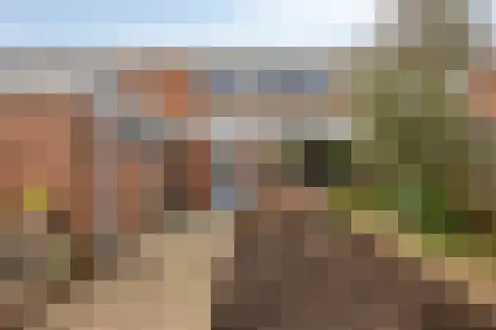 Robijnlaan 72 Cuijk thumbnail 46