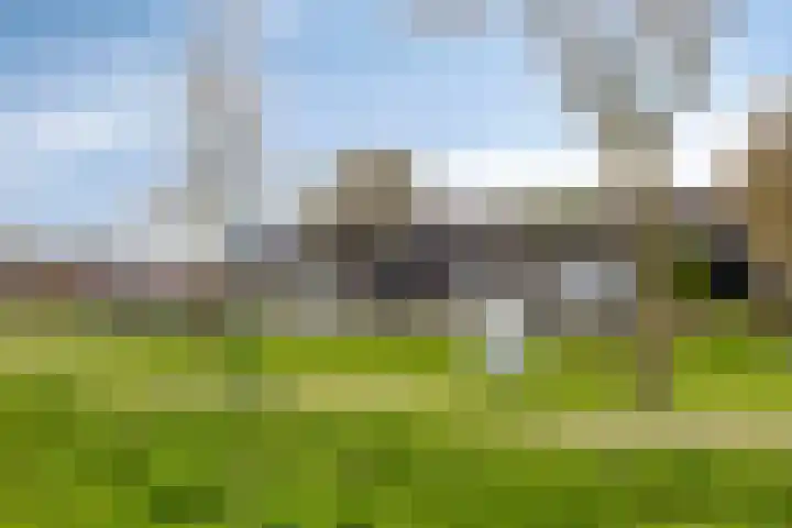 Robijnlaan 72 Cuijk thumbnail 52