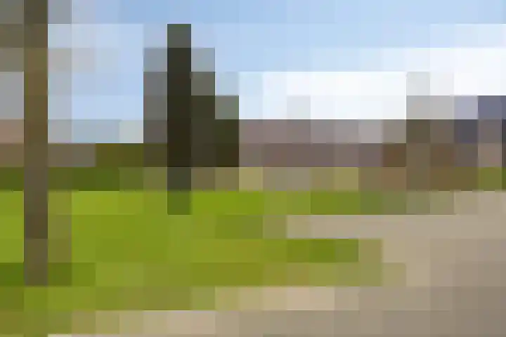 Robijnlaan 72 Cuijk thumbnail 54