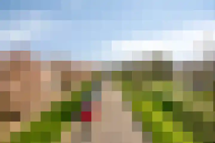 Robijnlaan 72 Cuijk thumbnail 6