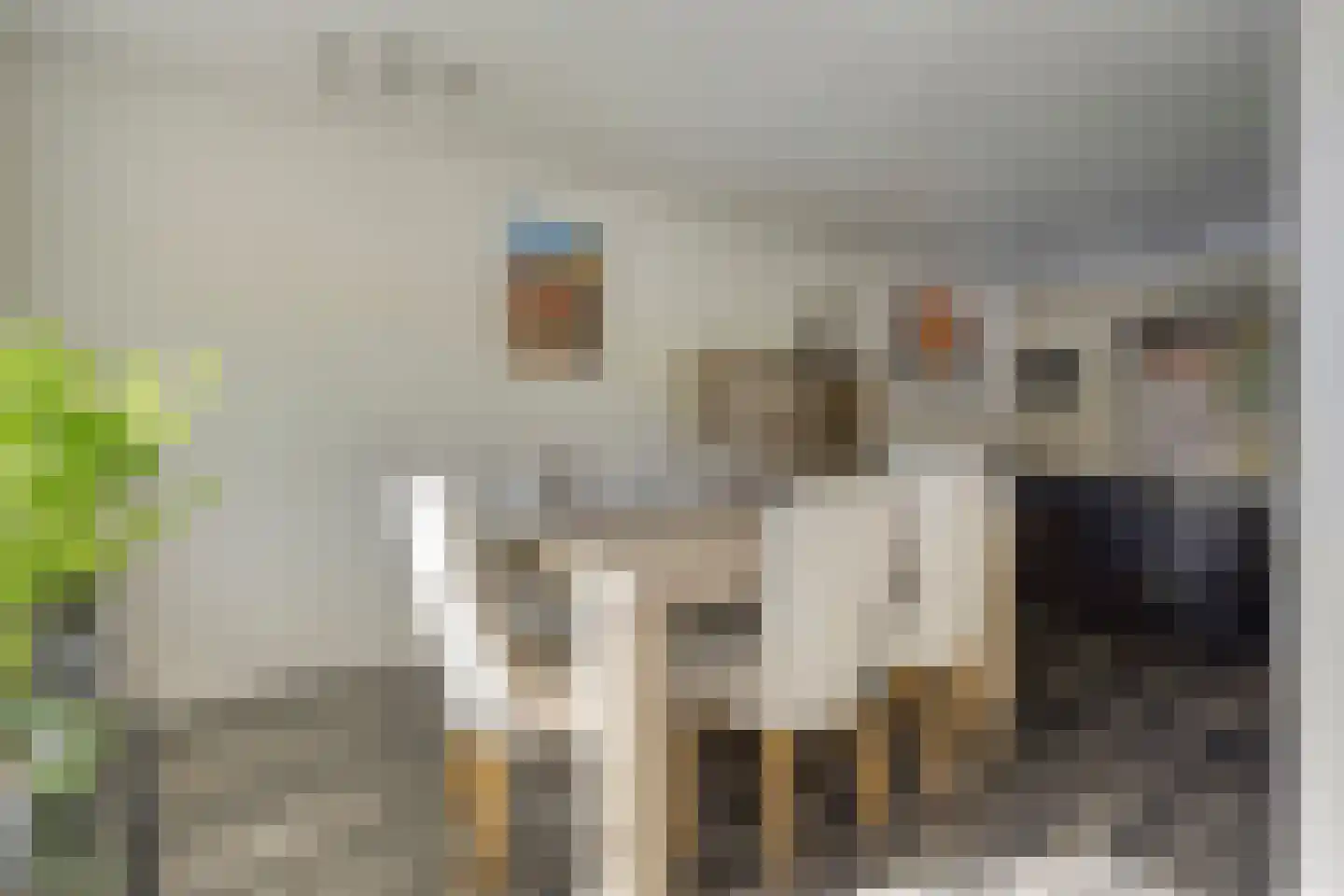 Robijnring 62 Eindhoven thumbnail 18