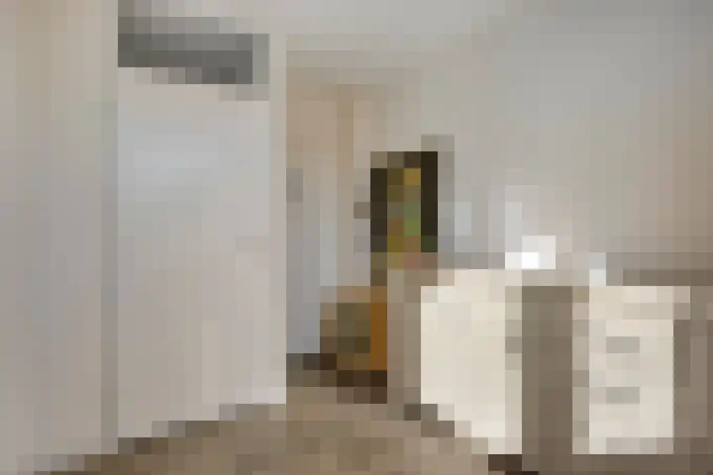 Robijnring 62 Eindhoven thumbnail 31