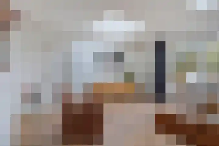 Robijnring 69 Eindhoven thumbnail 16