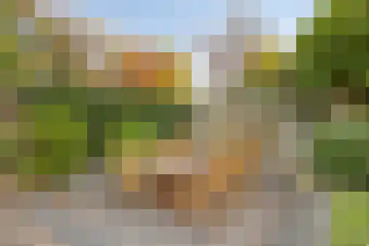 Robijnring 69 Eindhoven thumbnail 34
