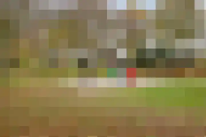 Robijnring 69 Eindhoven thumbnail 48