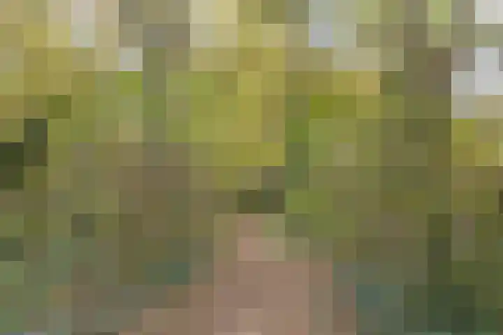 Robijnring 69 Eindhoven thumbnail 50