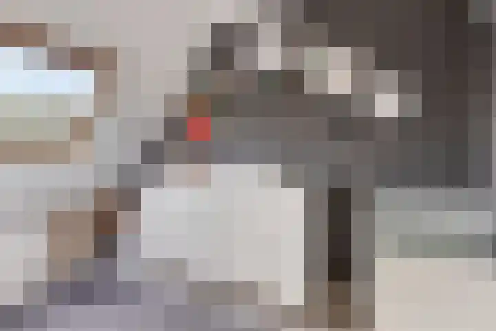 Robijnstoep 6 Assen thumbnail 17