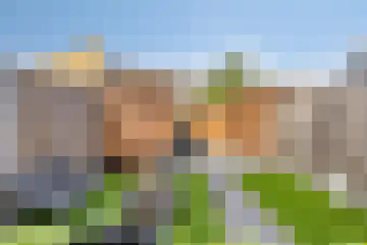 Robijnstoep 6 Assen thumbnail 23