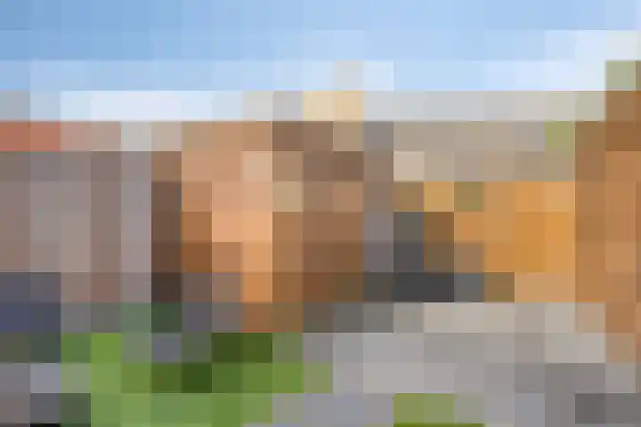 Robijnstoep 6 Assen thumbnail 25