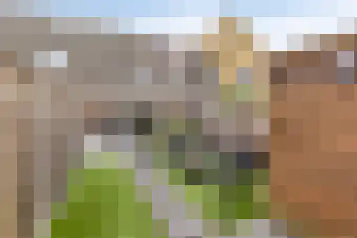 Robijnstoep 6 Assen thumbnail 26