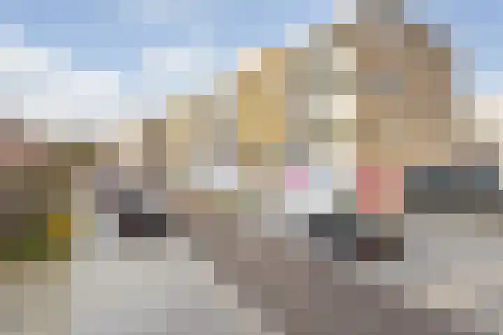 Robijnstraat 15 B Breda thumbnail 8