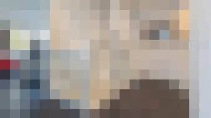 Robijnstraat 3 Almelo thumbnail 23