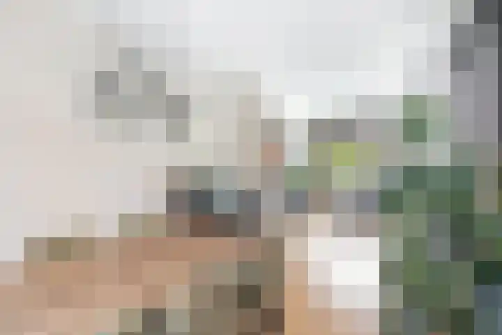 Robijnstraat 3 C Rotterdam thumbnail 17