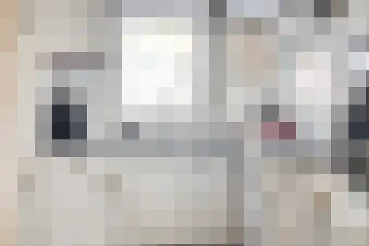 Robijnstraat 4 Ede thumbnail 9