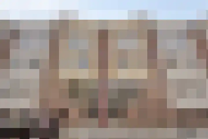 Team foto van Robin Makelaardij