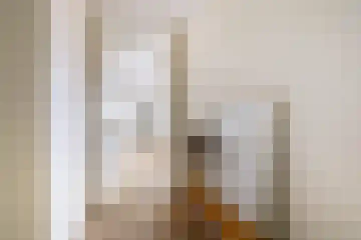 Robiniastate 11 Purmerend thumbnail 14