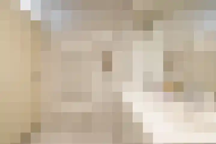 Robiniastate 11 Purmerend thumbnail 33