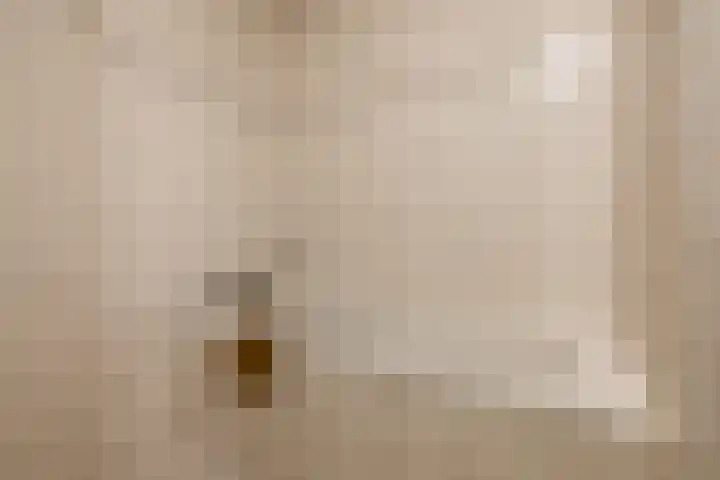 Robiniastate 11 Purmerend thumbnail 36