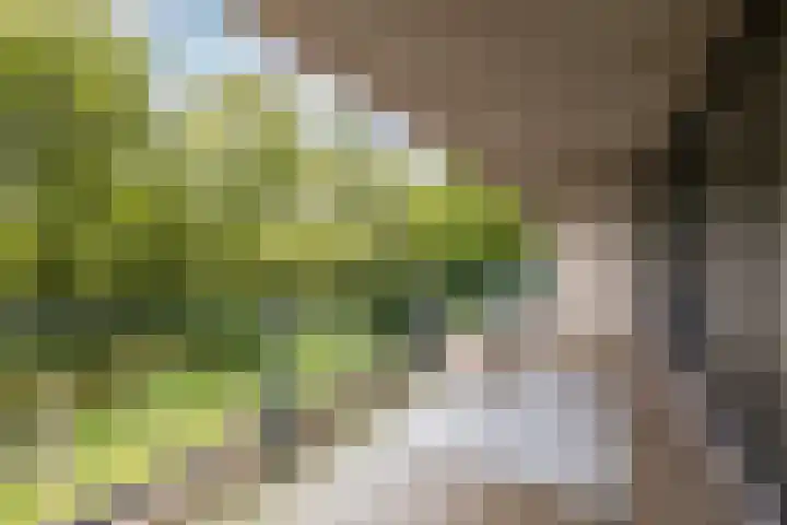 Robiniastate 11 Purmerend thumbnail 38