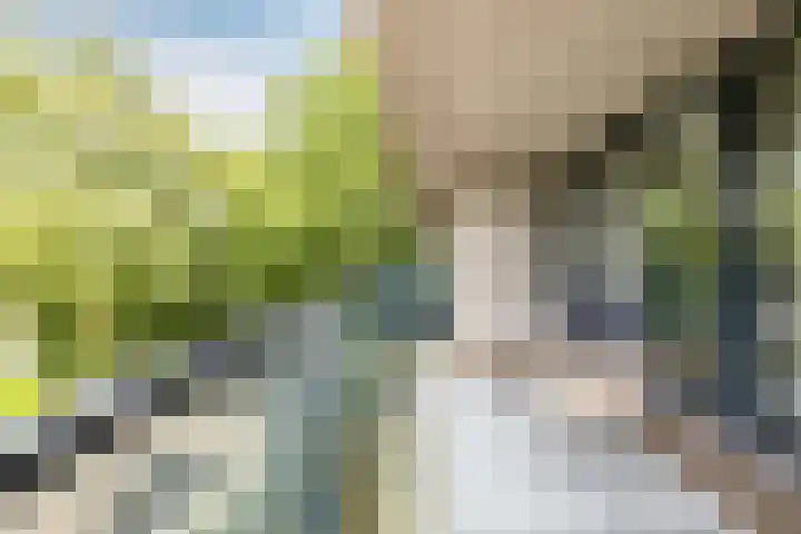 Robiniastate 11 Purmerend thumbnail 39