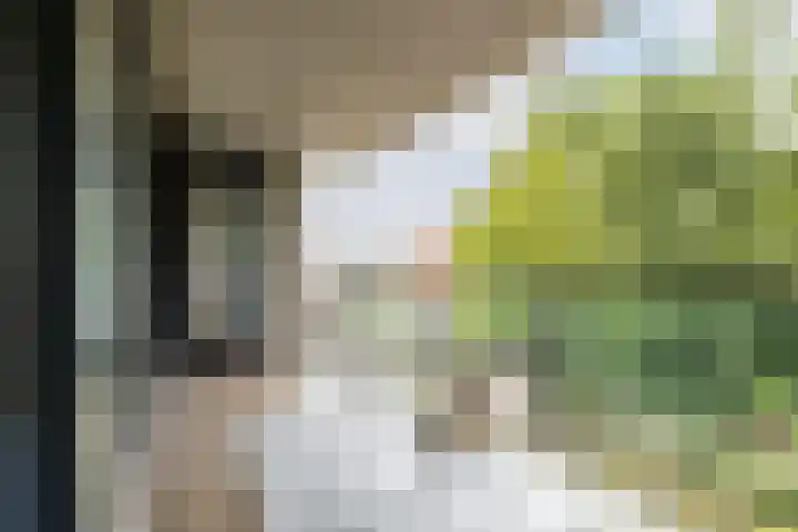 Robiniastate 11 Purmerend thumbnail 40