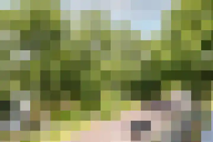 Robiniastate 11 Purmerend thumbnail 41