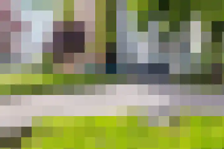 Robiniastate 11 Purmerend thumbnail 43