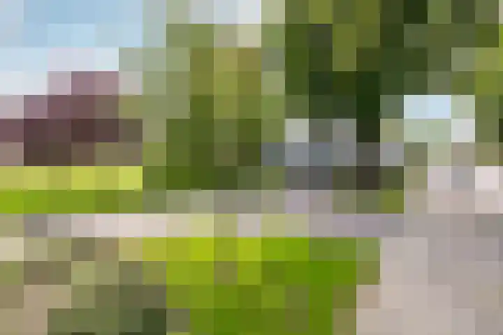 Robiniastate 11 Purmerend thumbnail 44