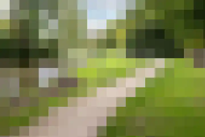 Robiniastate 11 Purmerend thumbnail 45