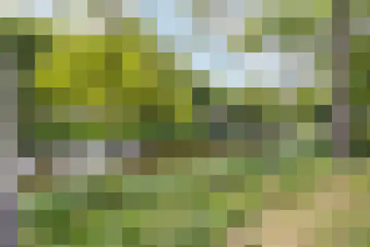 Robiniastate 11 Purmerend thumbnail 47