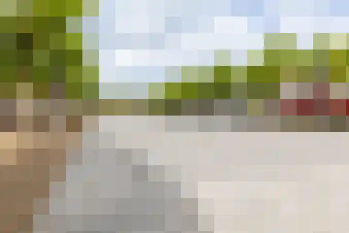 Robiniastate 11 Purmerend thumbnail 48
